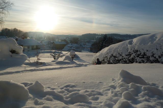 Villa Sonnenhuegel Zwiesel Oda fotoğraf